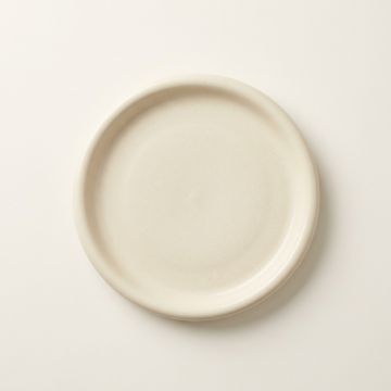 Terra Dinner Plate